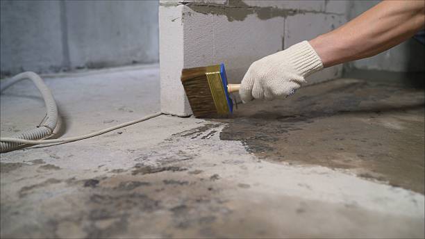 SJ Waterproofing Pros Basement Waterproofing coverage map for Dayton, MN and surrounding area